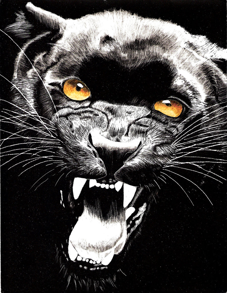 7 Ways A Panther Scratches Black Paper Revealed