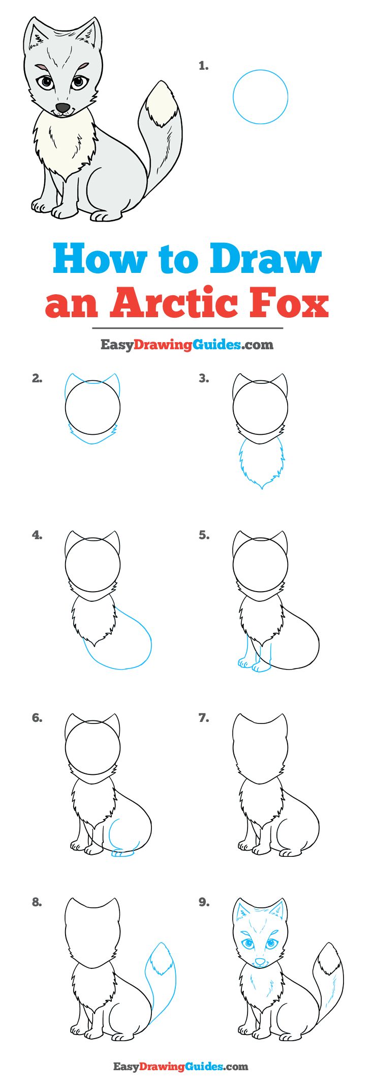 Snow Fox Drawing Tutorials for Beginners