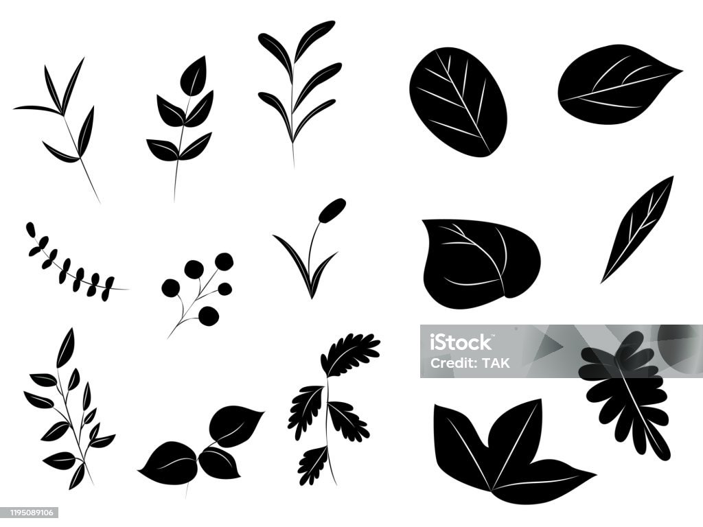 Black and White Leaf Designs