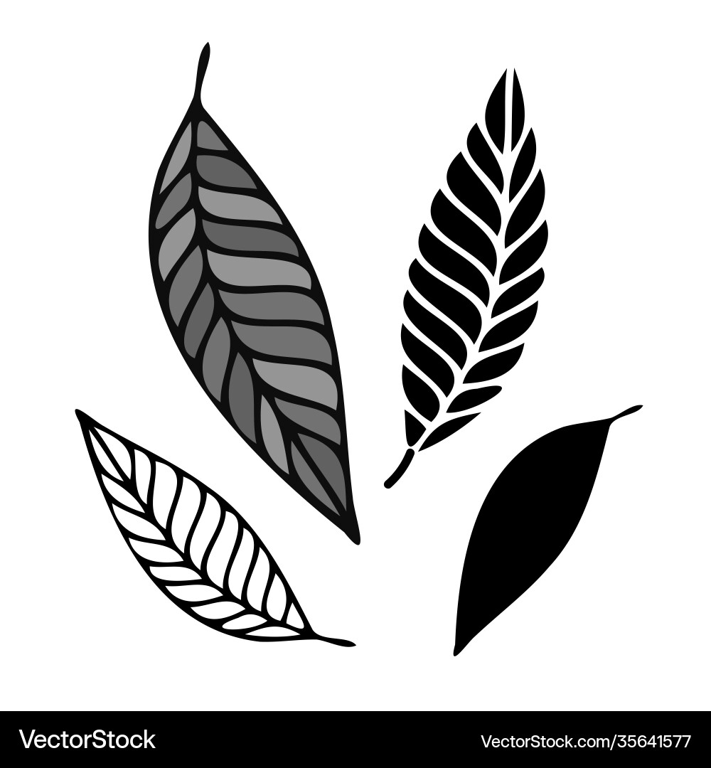 Black and White Leaves Vector