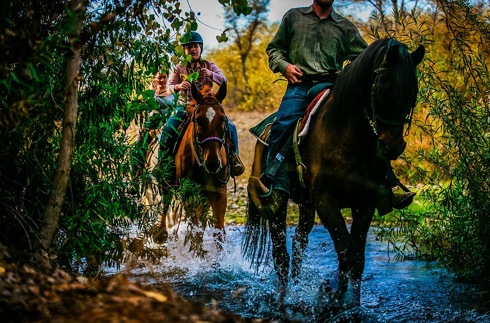 Horseback Riding in Santa Ynez