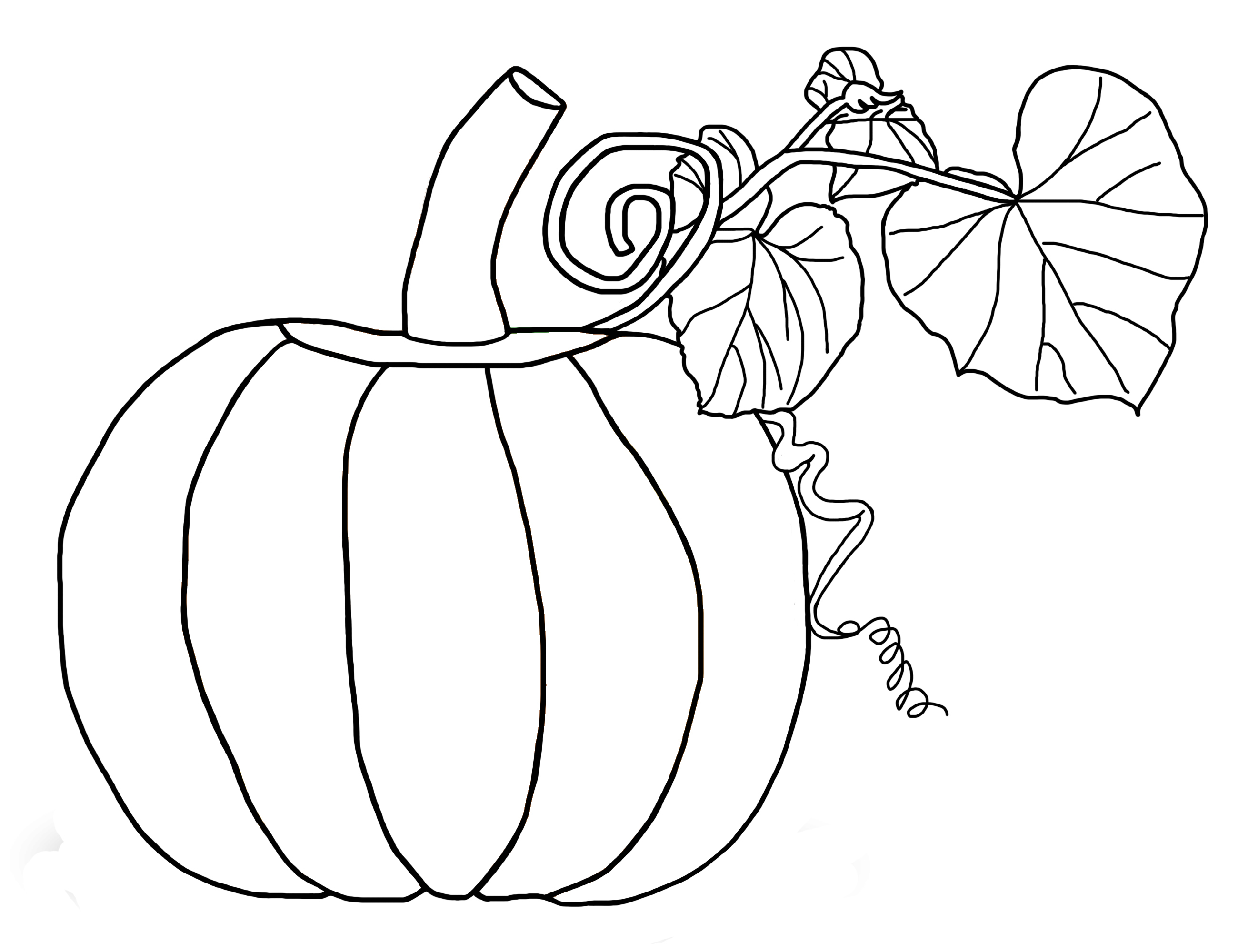 Pumpkin coloring pages for kids