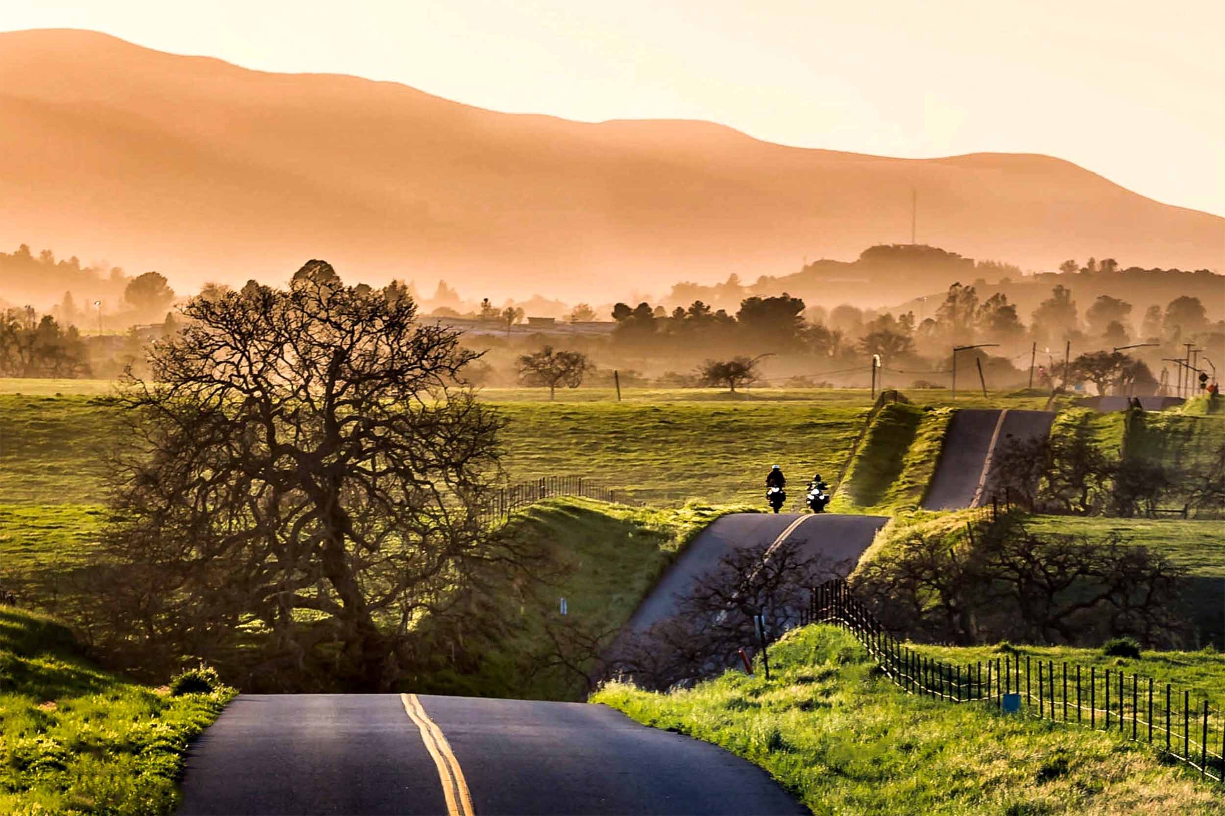 Santa Ynez Valley